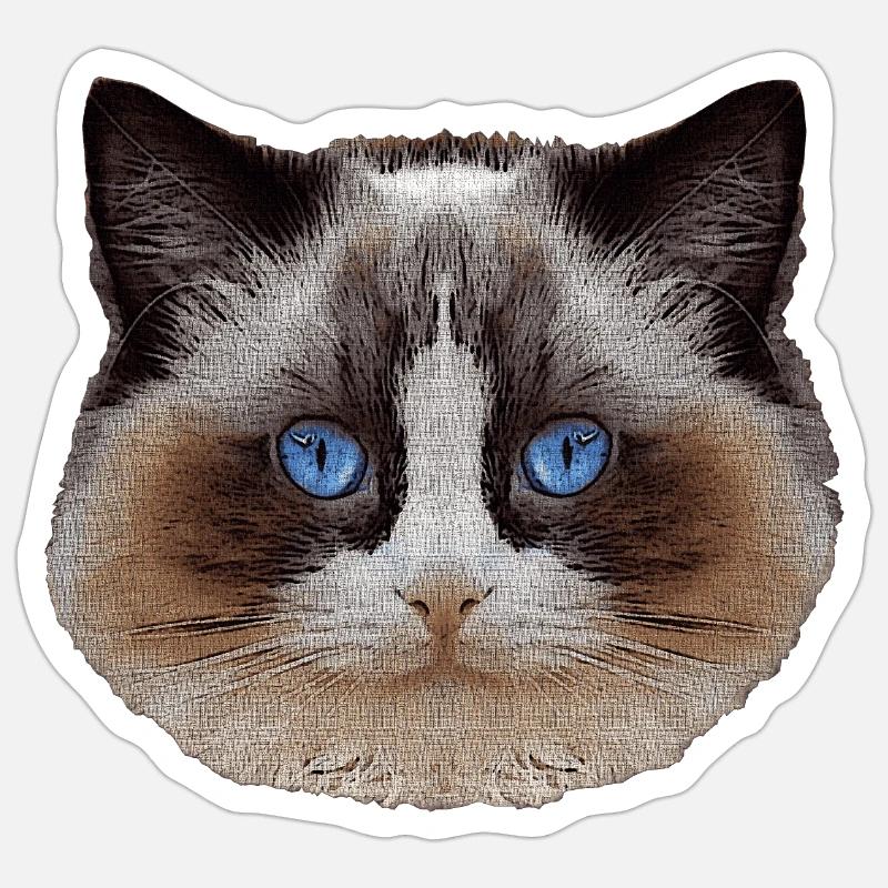 Ragdoll, samtpfote, Katzen design - Sticker Größe S (10 x 10 cm) - Mattweiß