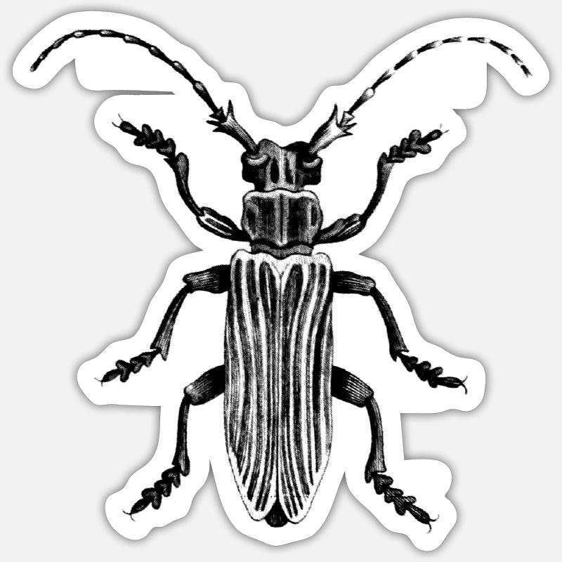Beetle - Sticker size S (10 x 10 cm) - white matte