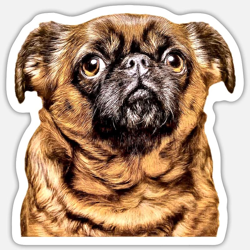 Brüssel Griffon 2 - Sticker Größe S (10 x 10 cm) - Mattweiß