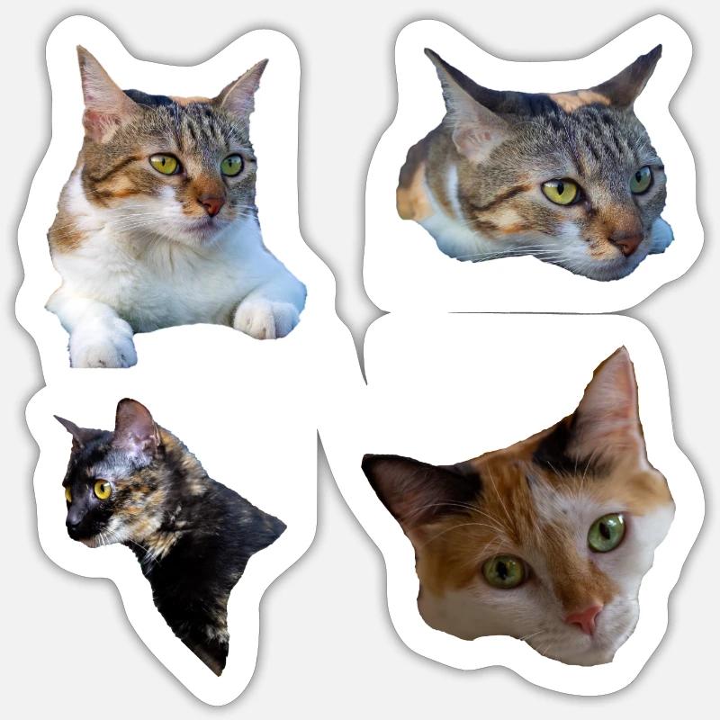 chat chatte chaton - Sticker taille S (10 x 10 cm) - blanc mat