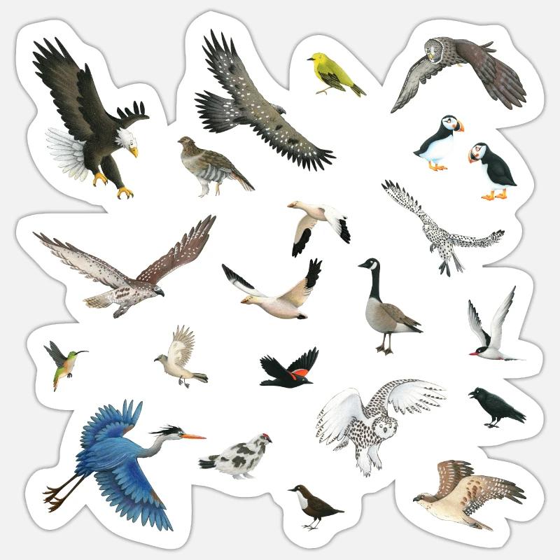 Oiseaux du Canada - Sticker taille S (10 x 10 cm) - blanc mat