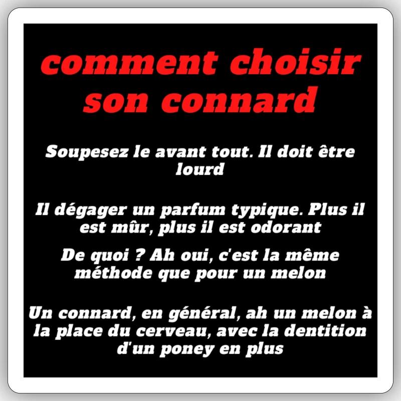 Sticker taille S (10 x 10 cm) - 