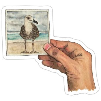 Hand with photo of a seagull - Sticker size S (10 x 10 cm) - white matte - Front