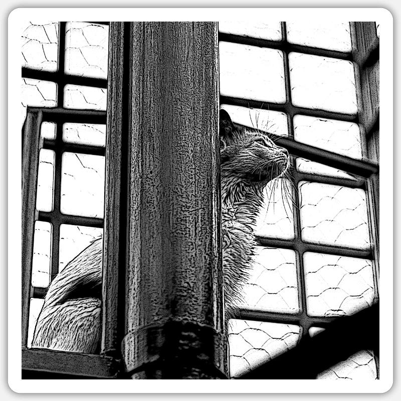 le chat sur le toit - Sticker taille S (10 x 10 cm) - blanc mat
