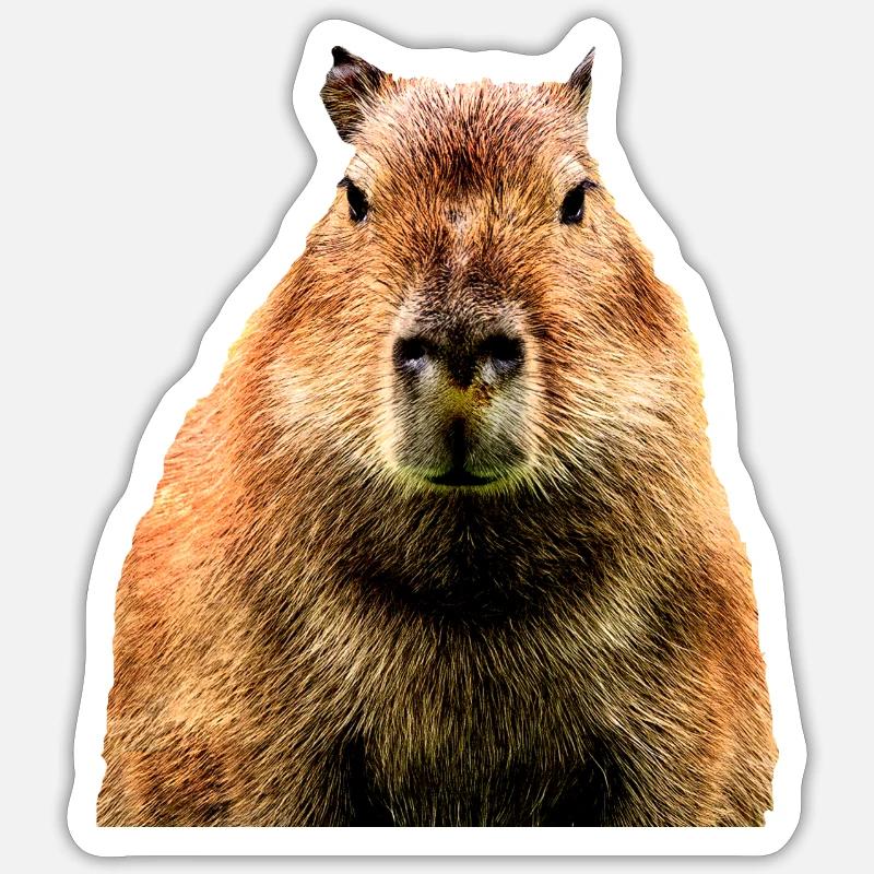 Capybara - Sticker Größe S (10 x 10 cm) - Mattweiß