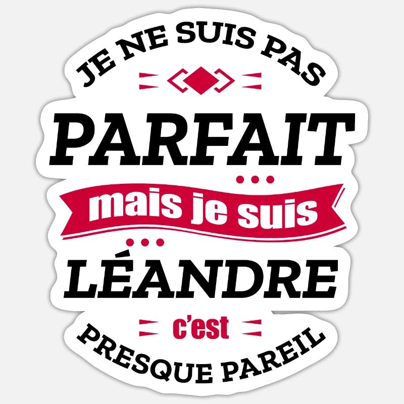 LÉANDRE PARFAIT - PRENOM LÉANDRE - Sticker taille S (10 x 10 cm) - blanc mat