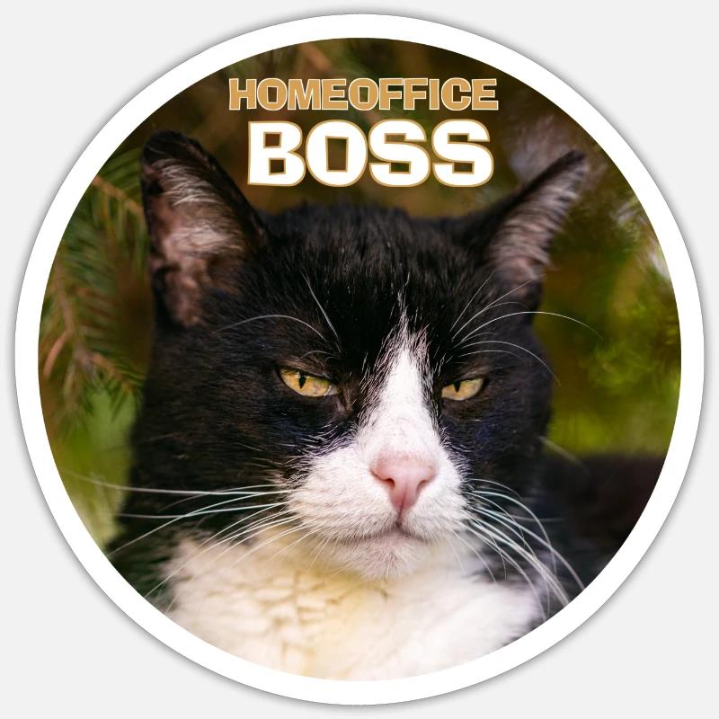 Home Office Boss Cat - Sticker taille S (10 x 10 cm) - blanc mat