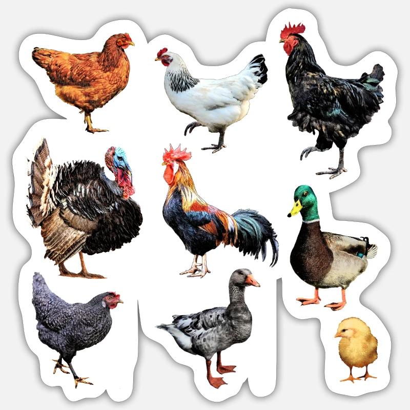 Sticker Größe S (10 x 10 cm) - 