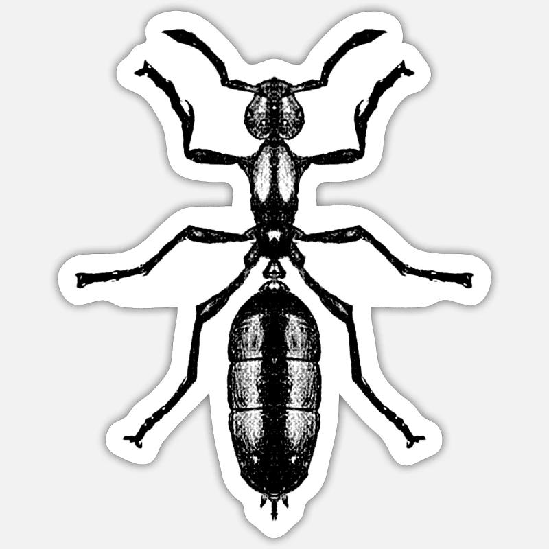 Fourmi - Sticker taille S (10 x 10 cm) - blanc mat