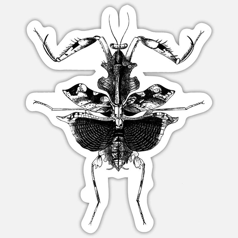 Mantis - Sticker size S (10 x 10 cm) - white matte