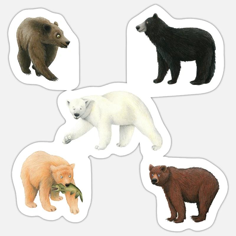 Bears - Sticker size S (10 x 10 cm) - white matte