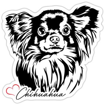 Langhaar Chihuahua Hundeportrait Hunde Wilsigns - Sticker Größe S (10 x 10 cm) - Mattweiß - Vorne