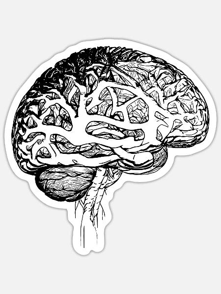 Medizinisches Anatomisches Gehirn Nervengewebe - Sticker Größe S (10 x 10 cm) - Mattweiß