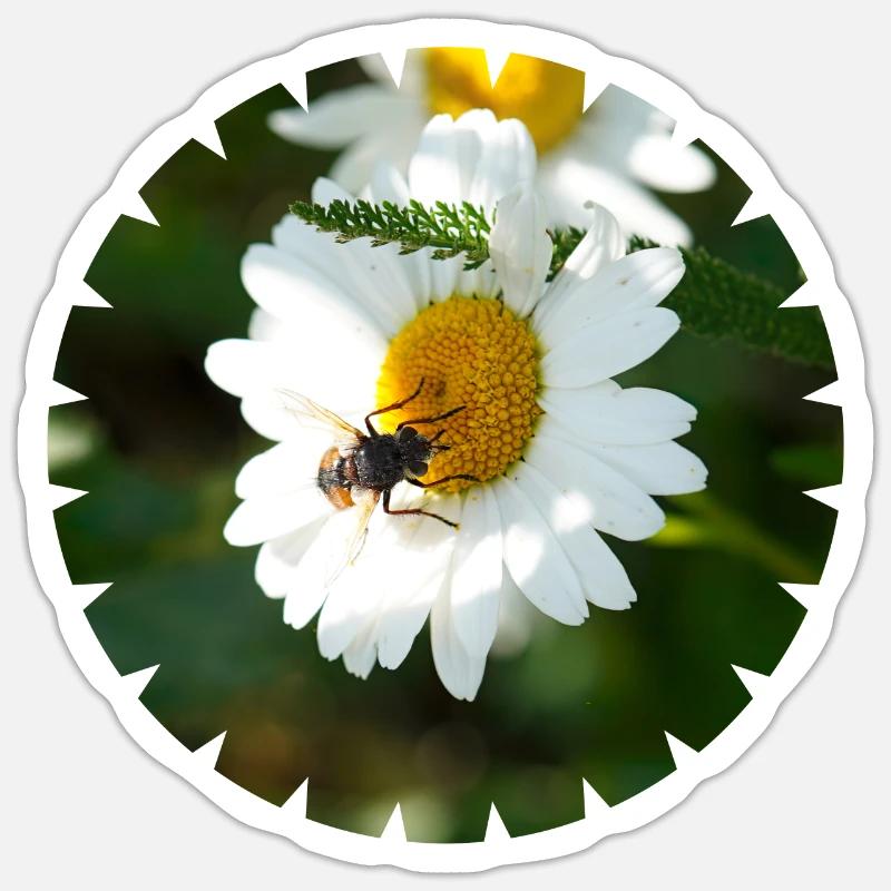 Insects depend on flowers and vice versa Sticker size S (10 x 10 cm)