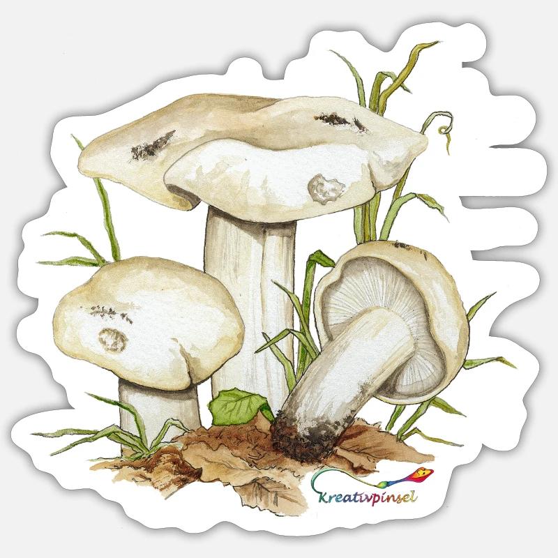 Mai-Ritterling oder Maipilz (Calocybe gambosa) Sticker Größe S (10 x 10 cm)