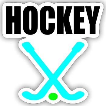 BALL SPORT HOCKEY - FIELD HOCKEY - Sticker size S (10 x 10 cm) - white matte - Front