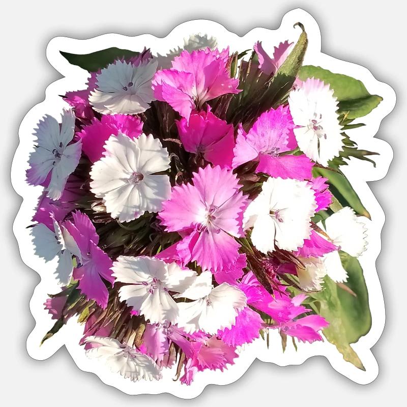 Bouquet d’œillets - Sticker taille S (10 x 10 cm) - blanc mat