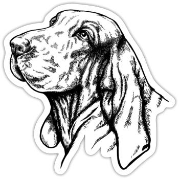 Bracco Italiano Portrait noir - Sticker taille S (10 x 10 cm) - blanc mat - Devant