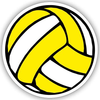 ballon de volleyball beachvolley beach ball 2 0 - Sticker taille S (10 x 10 cm) - blanc mat - Devant