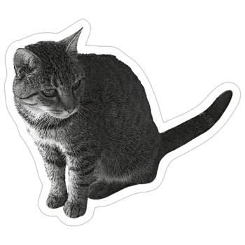 Katze sitzend, schwarz-weiß, tabby Motive - Sticker Größe S (10 x 10 cm) - Mattweiß - Vorne