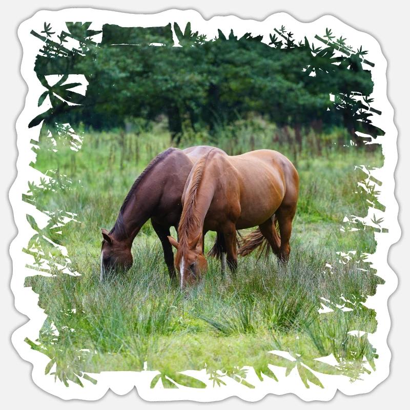 Zwei Pferde auf der Weide Sticker Größe S (10 x 10 cm)