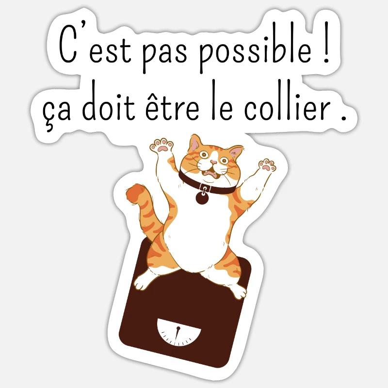 Ça doit être mon collier -humour perte de poids - Sticker taille S (10 x 10 cm) - blanc mat