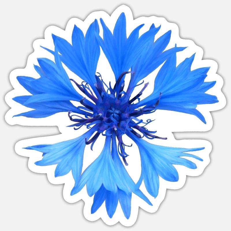Cornflower - Sticker size S (10 x 10 cm) - white matte