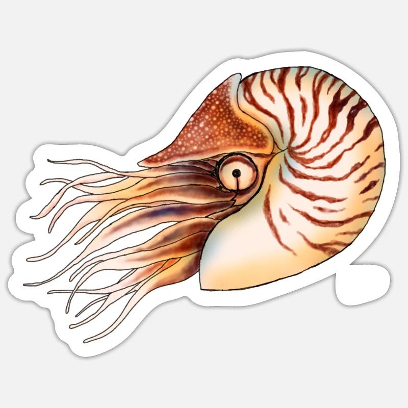 NAUTILUS - Sticker size S (10 x 10 cm) - white matte