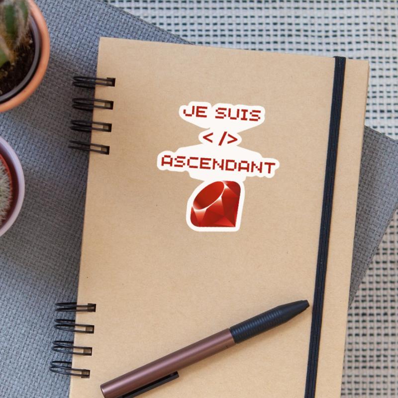 Ruby web developer Sticker size S (10 x 10 cm)