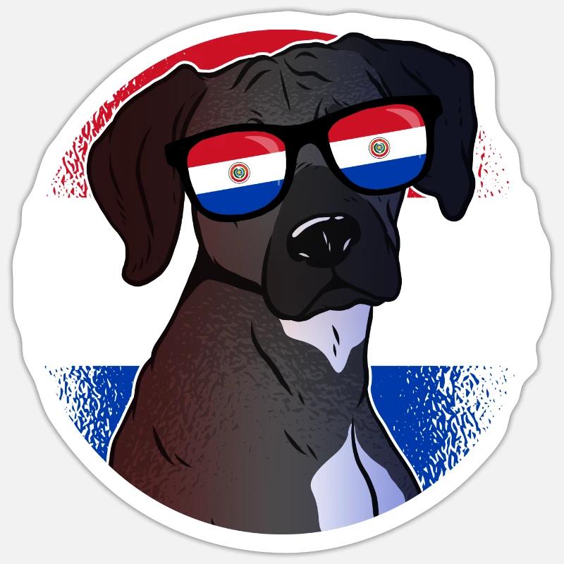 Paraguay - Sticker taille S (10 x 10 cm) - blanc mat