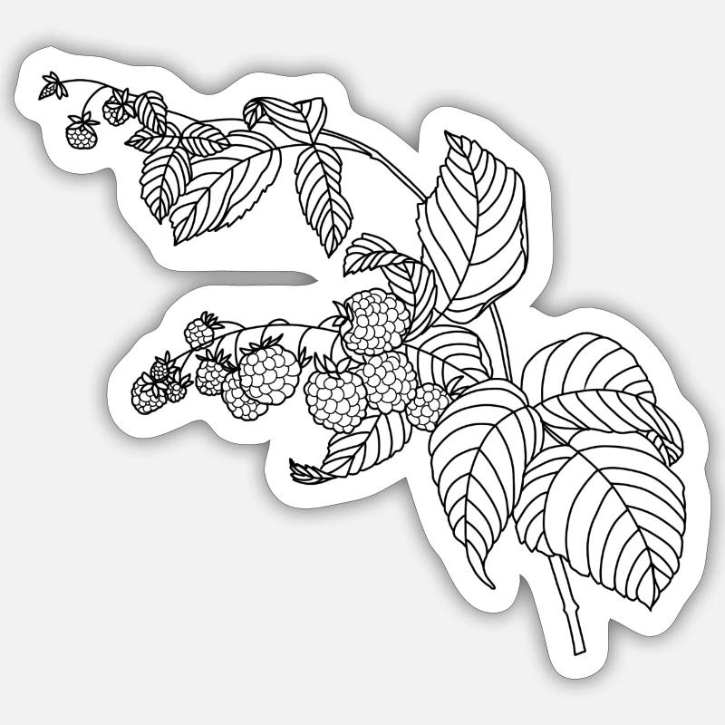 Raspberry - Sticker size S (10 x 10 cm) - white matte