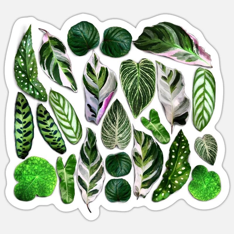 Feuilles vertes - Sticker taille S (10 x 10 cm) - blanc mat