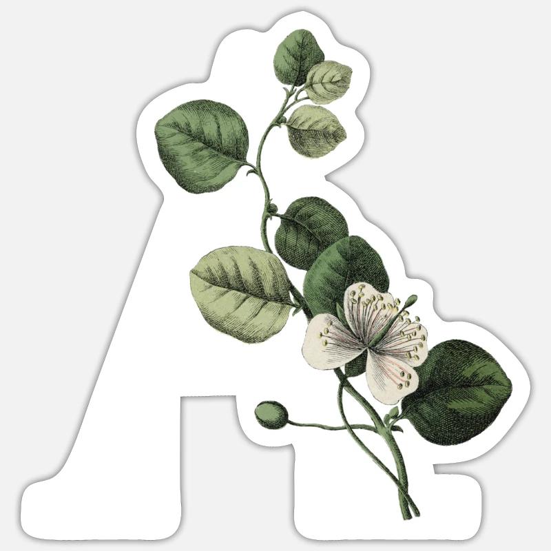 lettre a botanique vert - Sticker taille S (10 x 10 cm) - blanc mat
