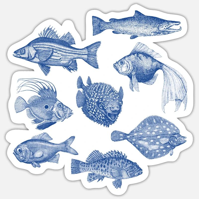 Fishes for compliments - Sticker size S (10 x 10 cm) - white matte