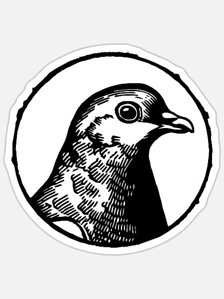 Taube Tauben Taubenzüchter Geschenk - Sticker Größe S (10 x 10 cm) - Mattweiß