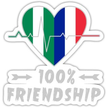 Le Nigeria et la France, une amitié à 100 % - Sticker taille S (10 x 10 cm) - blanc mat - Devant
