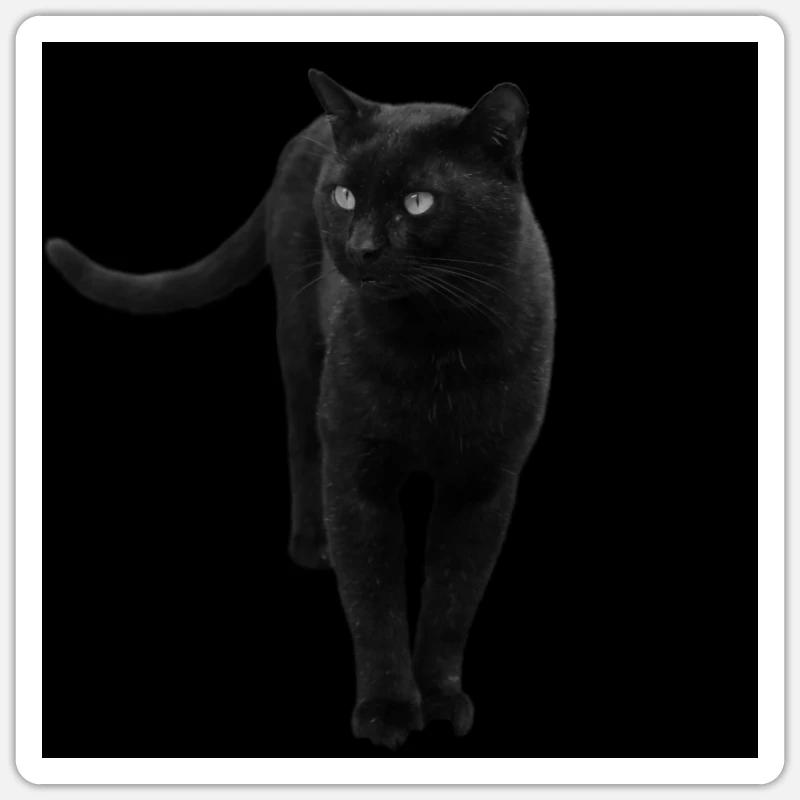 Chat noir Chat Chat Noir Chat Cadeau - Sticker taille S (10 x 10 cm) - blanc mat