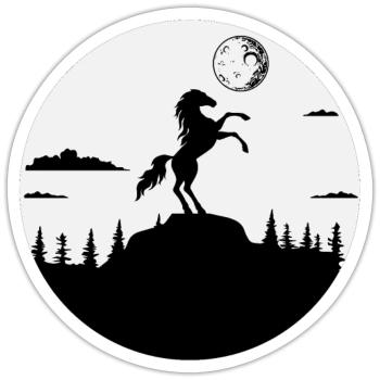 Cavalier Cavalier Cheval Chevaux Cheval Cavalière - Sticker taille S (10 x 10 cm) - blanc mat - Devant