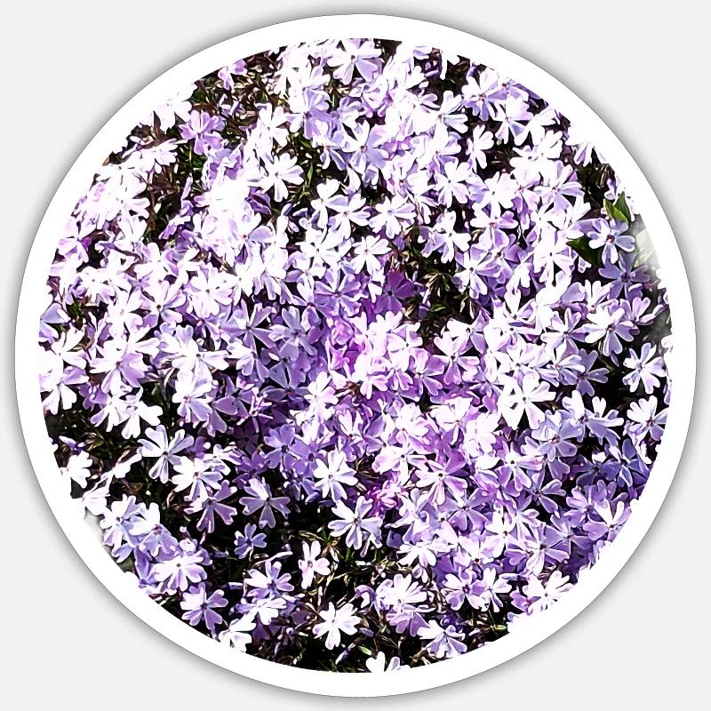 Tapis bleu - Sticker taille S (10 x 10 cm) - blanc mat