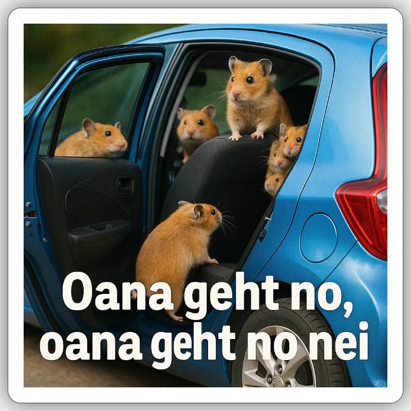 Sticker size S (10 x 10 cm) - 