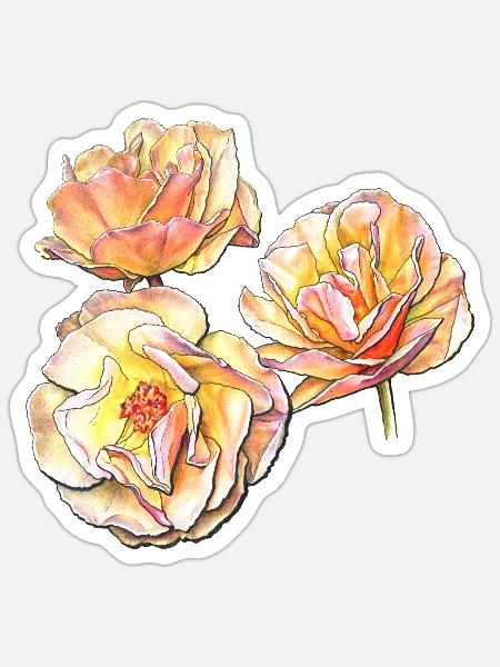 Drei gelbe rosa Rosenblüten Buntstiftzeichnung - Sticker Größe S (10 x 10 cm) - Mattweiß
