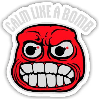 Calm Like Bomb Paradox Irony Humor Explosive Joke - Sticker size S (10 x 10 cm) - white matte - Front