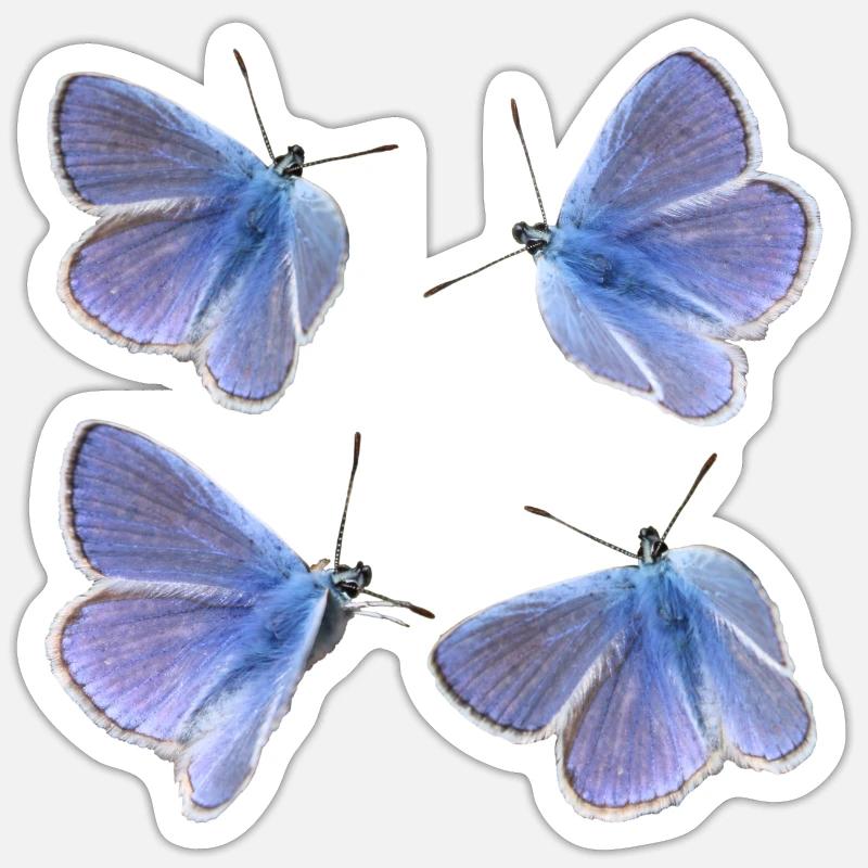 vier Bläulinge - Sticker Größe S (10 x 10 cm) - Mattweiß
