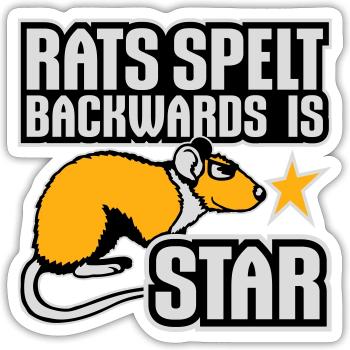Rats Spelt Backwards Is Star Lustiger Ratte Spruch - Sticker size S (10 x 10 cm) - white matte - Front