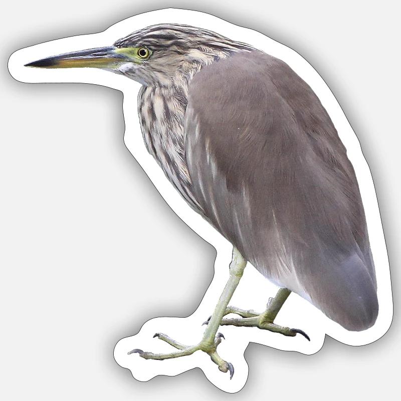 Bacchus Heron - Sticker size S (10 x 10 cm) - white matte