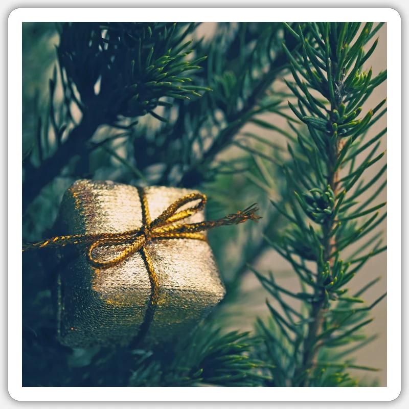 Golden present on pine branches - Sticker size S (10 x 10 cm) - white matte
