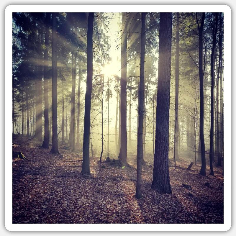 Sonnenstrahlen Waldlicht - Sticker Größe S (10 x 10 cm) - Mattweiß