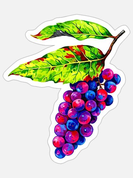 Bunte Weintrauben Illustration - Sticker Größe S (10 x 10 cm) - Mattweiß