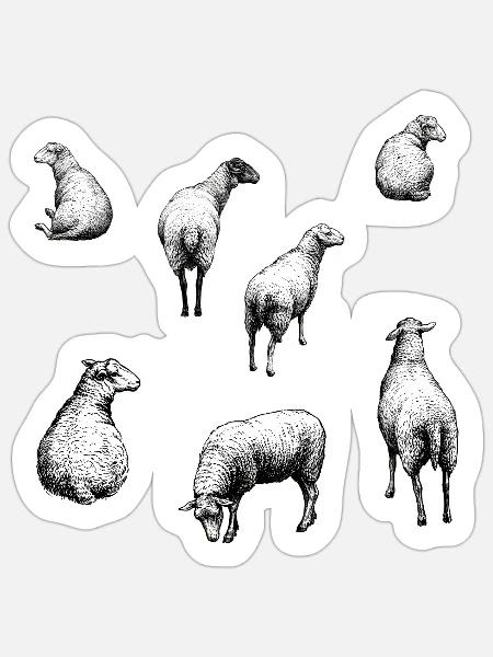 Skizzenhafte Schafherde - Sticker Größe S (10 x 10 cm) - Mattweiß