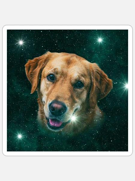 Weltraumhund Sternenpfote - Sticker Größe S (10 x 10 cm) - Mattweiß